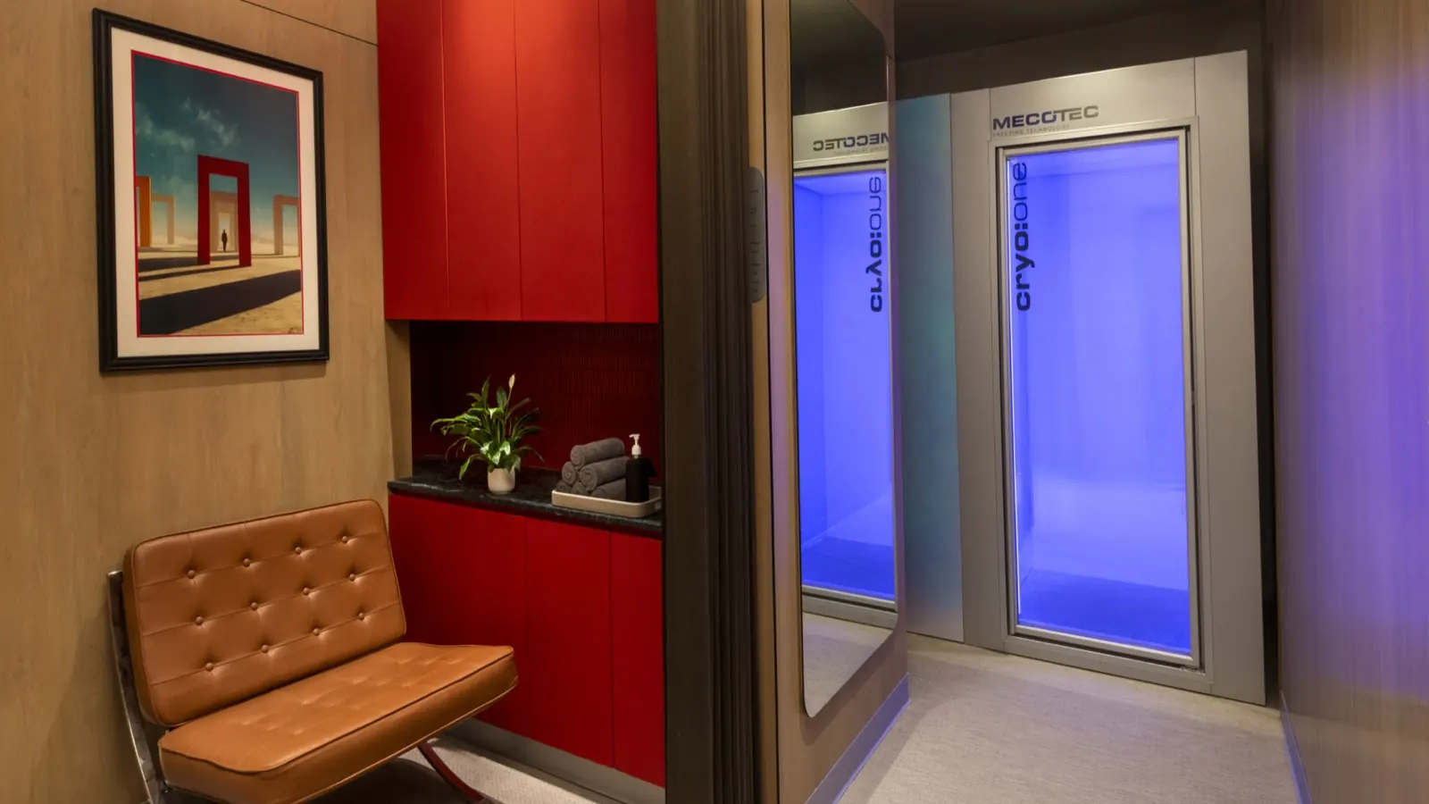 Cryotherapy recovery suite